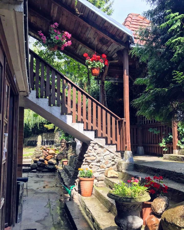 ดวอเร็ก อาดัมสกี Bed & Breakfast วาลบ์จิก ภายนอก รูปภาพ